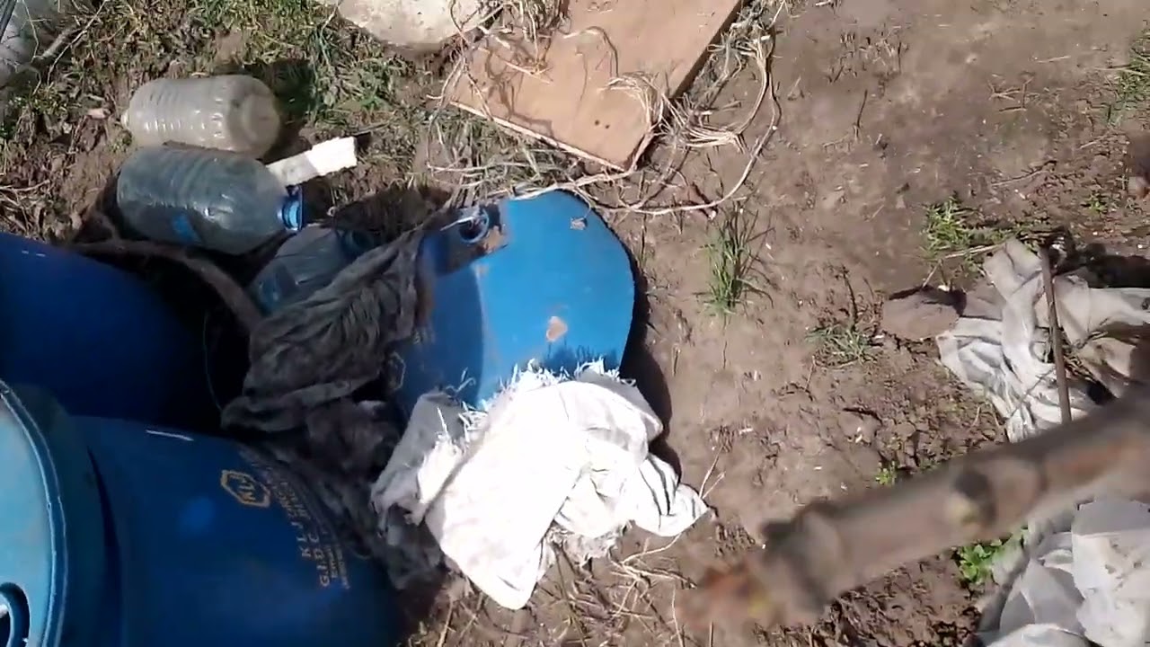 Состояние инжира не укрывного.Никополь .01.04.24