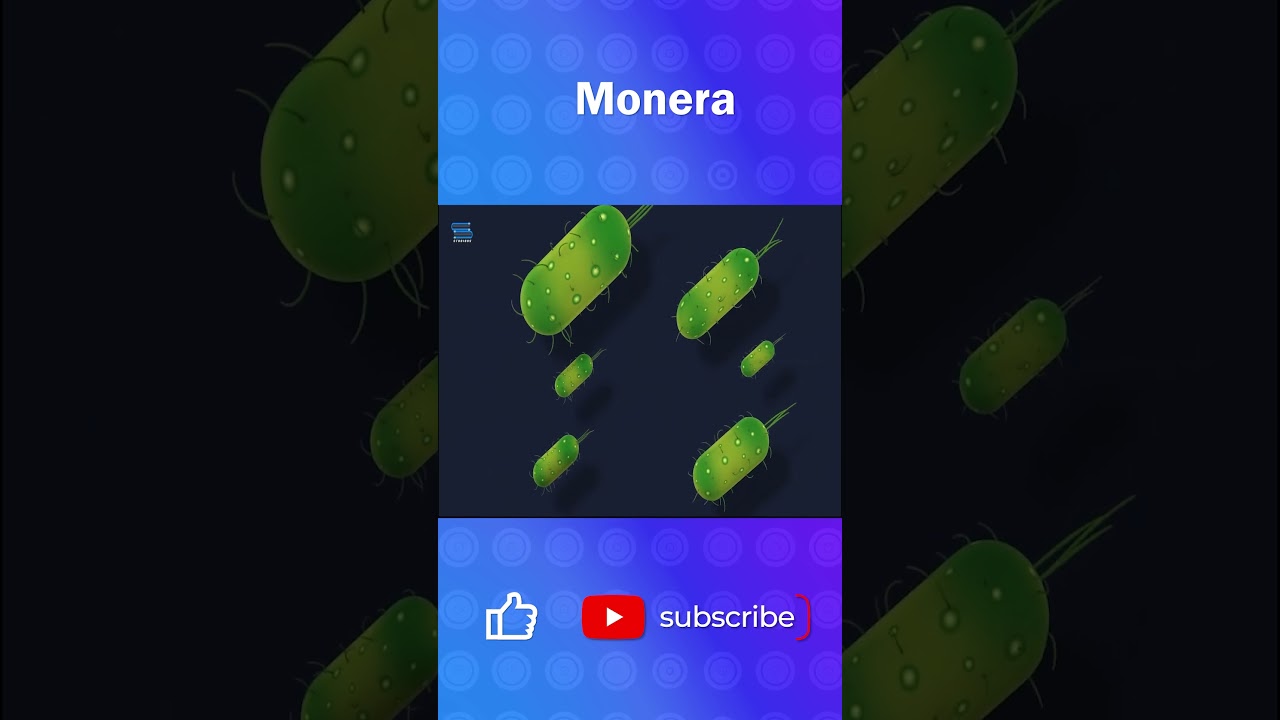 Kingdom Monera |Biological Classification| Class 12 #youtubeshorts #monera #bacteria #fungi #shorts