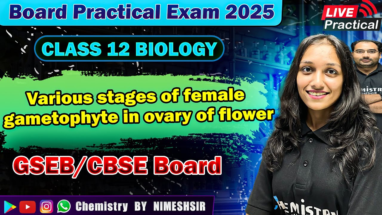 Stages of female gametophyte in flower | BIOLOGY Practical | Board Practical Exam 2025 | NIMESHSIR