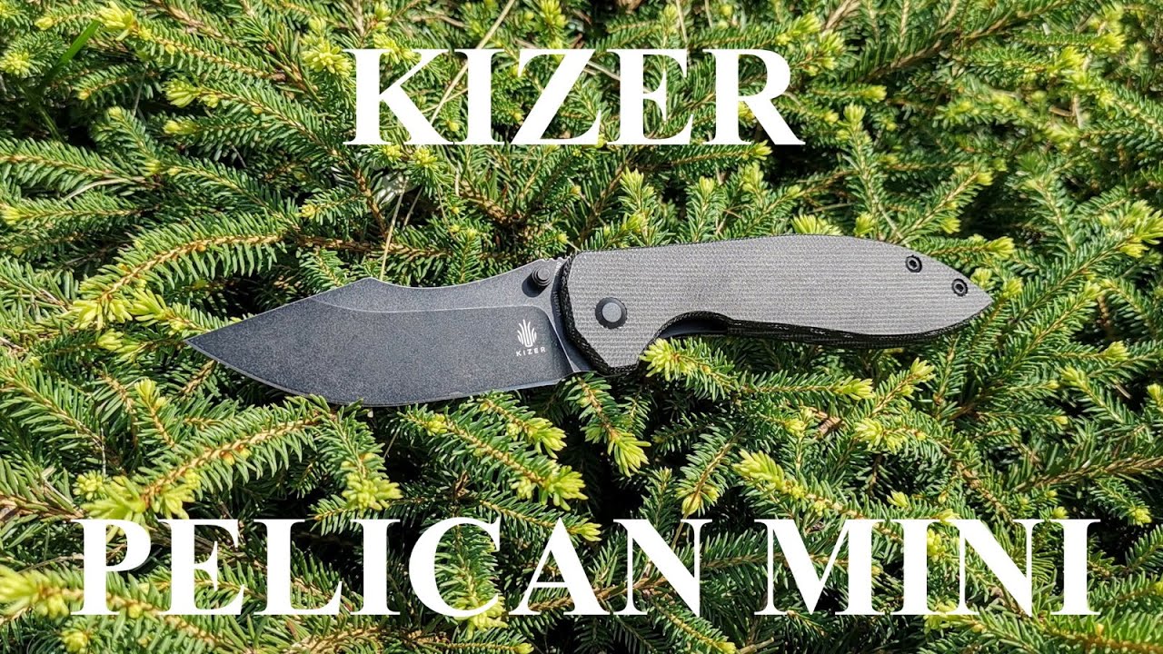 Kizer PELICAN MINI. Разборка и краткий отзыв.