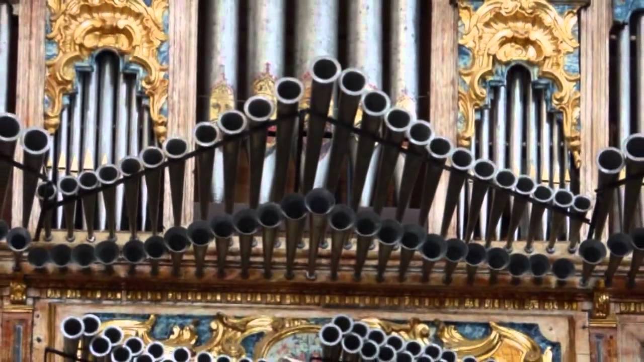 15 T&aacute;mara de Campos