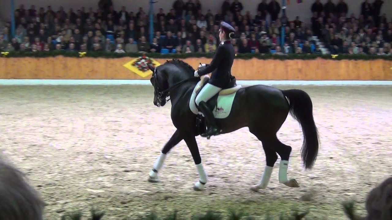 Quadroneur Vechta 2016