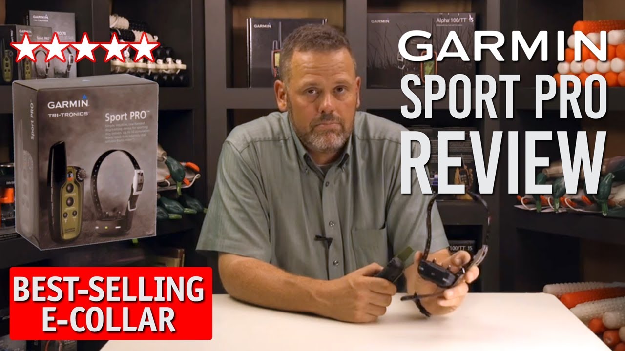 Our Best-Selling E-Collar: Why Dog Trainers Love the Garmin SPORT PRO 🔥