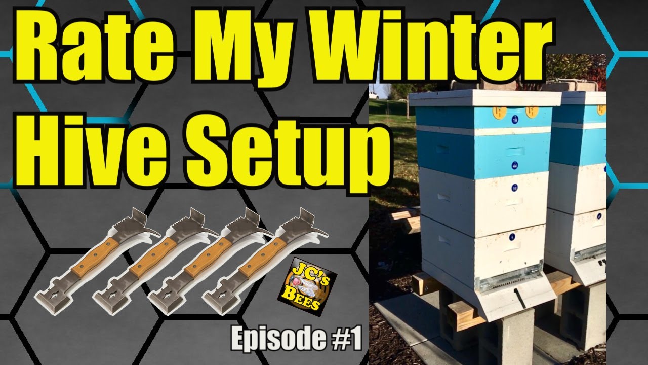 Rate My Winter Hive Setup Episode #1