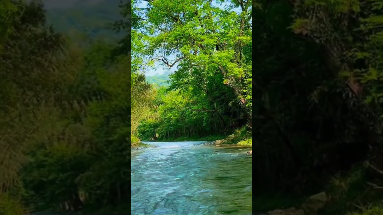 #FlowingWaterSounds#NatureAmbience#ASMRNature#NightAmbience#RelaxingSounds#SleepSounds#CalmingNature