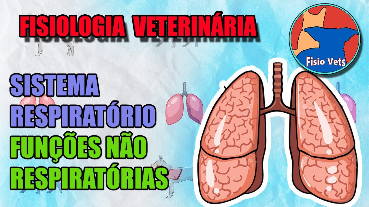 Funções do sistema respiratório (defesa, pH, metabolismo e termorregulação) - Fisiologia veterinária