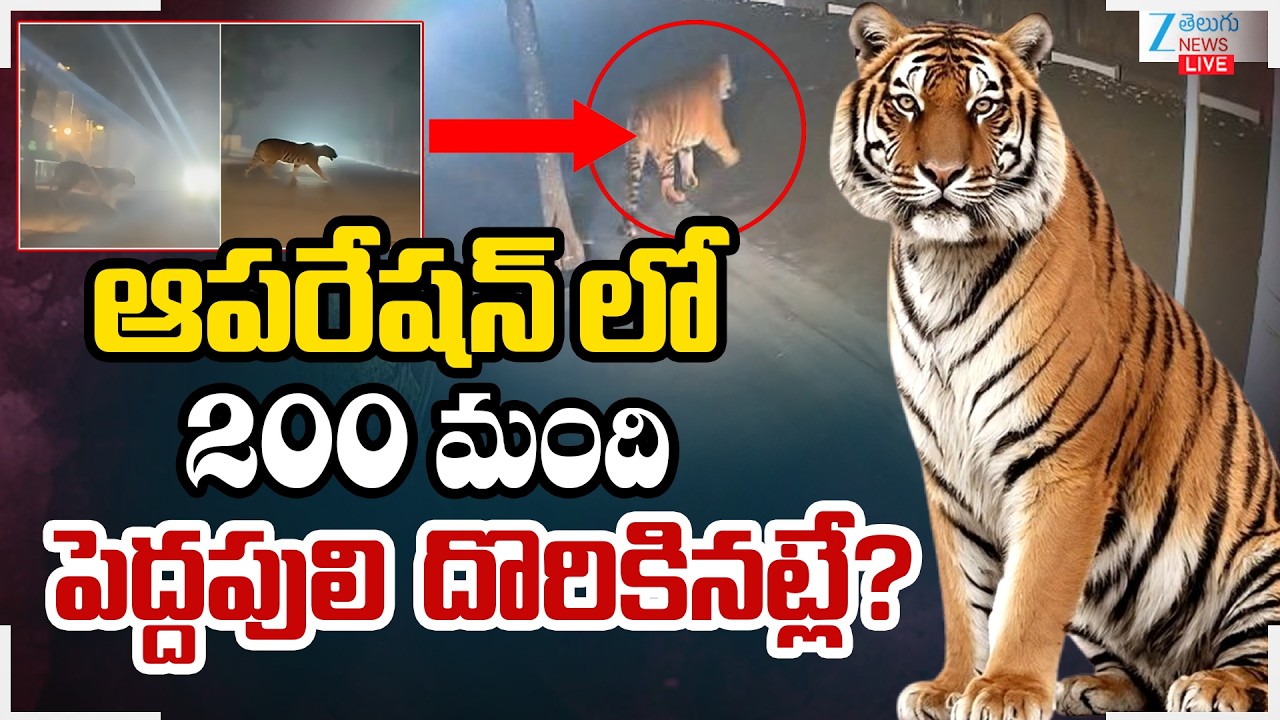 LIVE: High Alert In Rajahmundry Live Updates | Tiger Spotted at Diwancheruvu | ZEE Telugu News