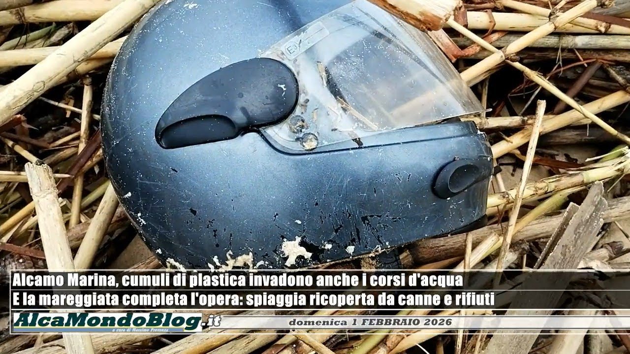 Mareggiata ad Alcamo Marina, canne e rifiuti invadono la spiaggia. Molta plastica, anche nei canali