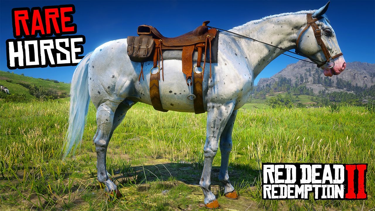5 Rare Appaloosa Horses (Location & Rankings) - RDR 2