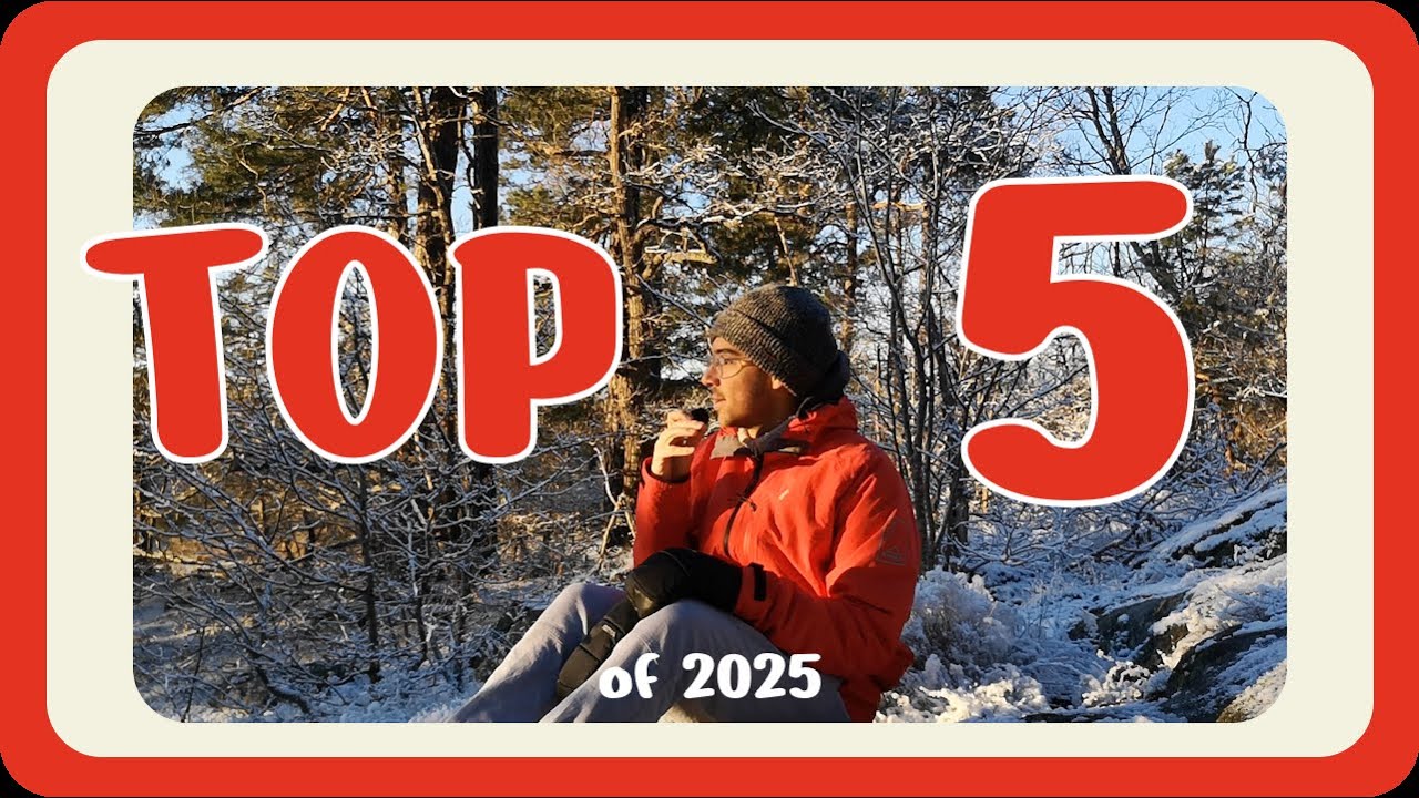 top 5 of 2025