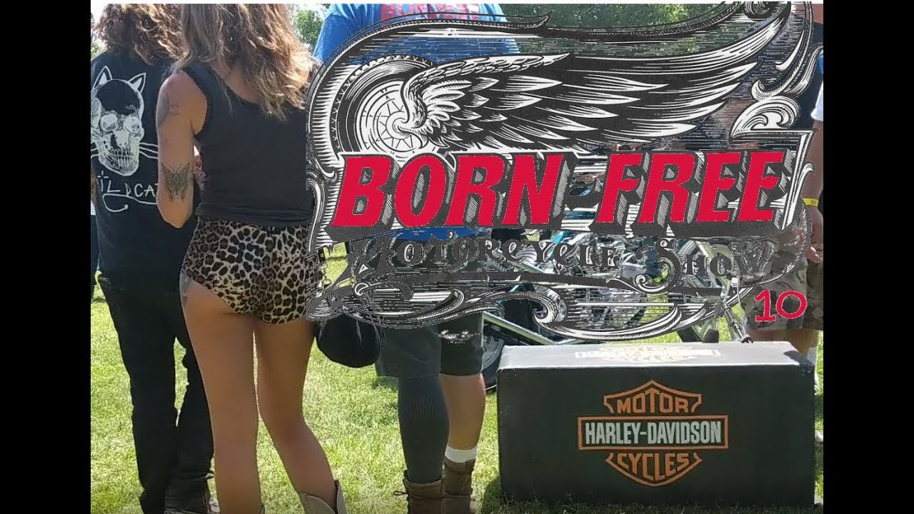 Steel of Born Free 10 Motorcycle Show