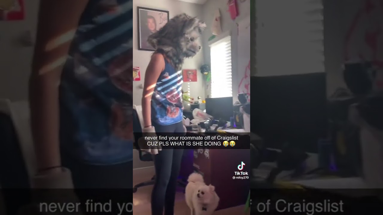 craigslist roommate gone wrong 🦹&zwj;♀️🐈 | #tiktok #funny #subscribe #roomate #craigslist #college #tt