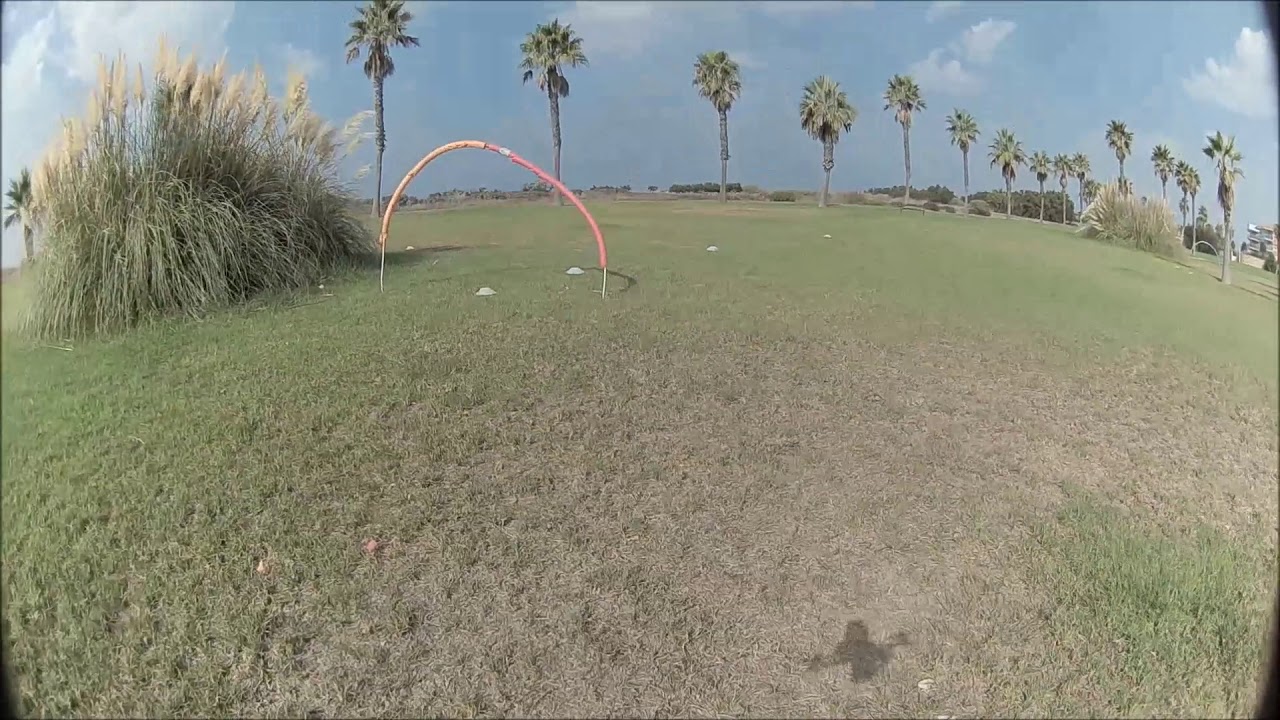 racer la ballena con tom pedro y jaime 15 9 19