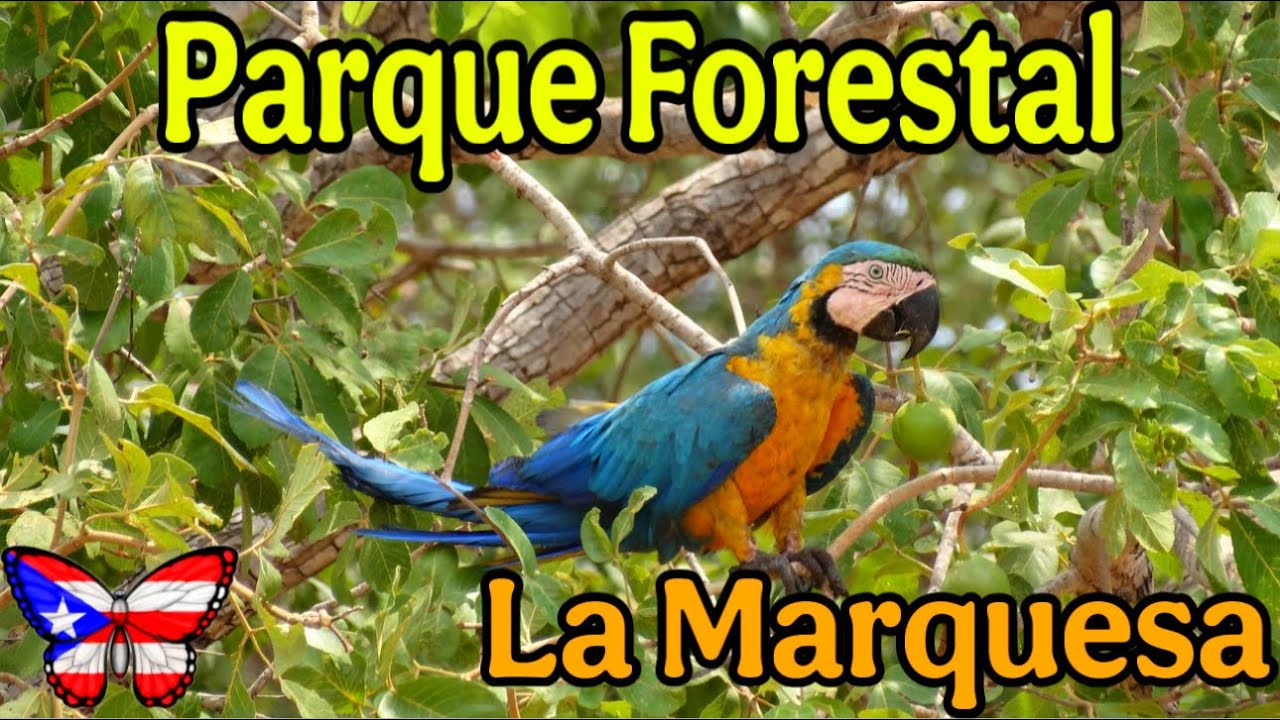 Visité el Parque Forestal La Marquesa en Guaynabo Puerto Rico 🇵🇷
