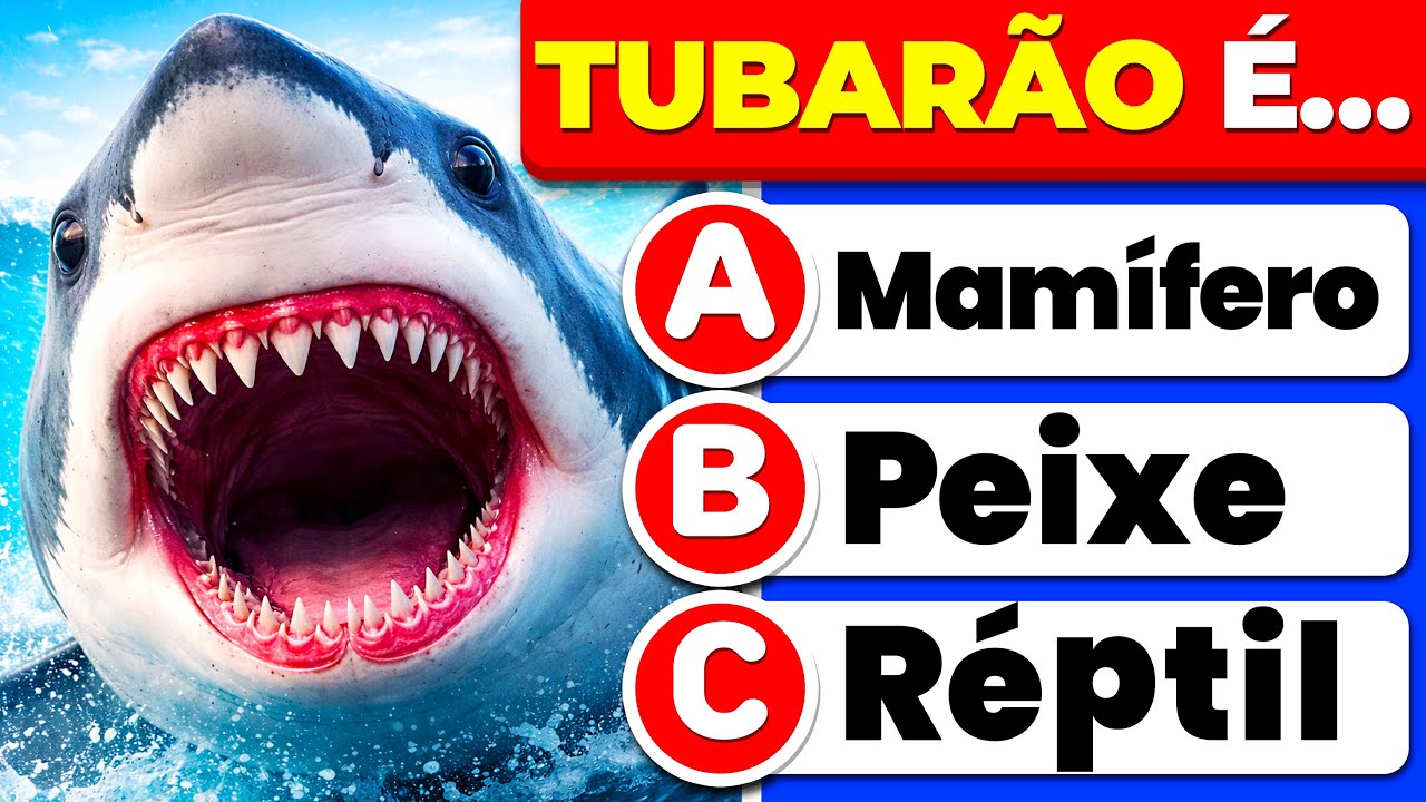 Teste Seus Conhecimentos Gerais🚀🪐 40 Perguntas Imperdíveis  🏆🧠Capitão Quiz