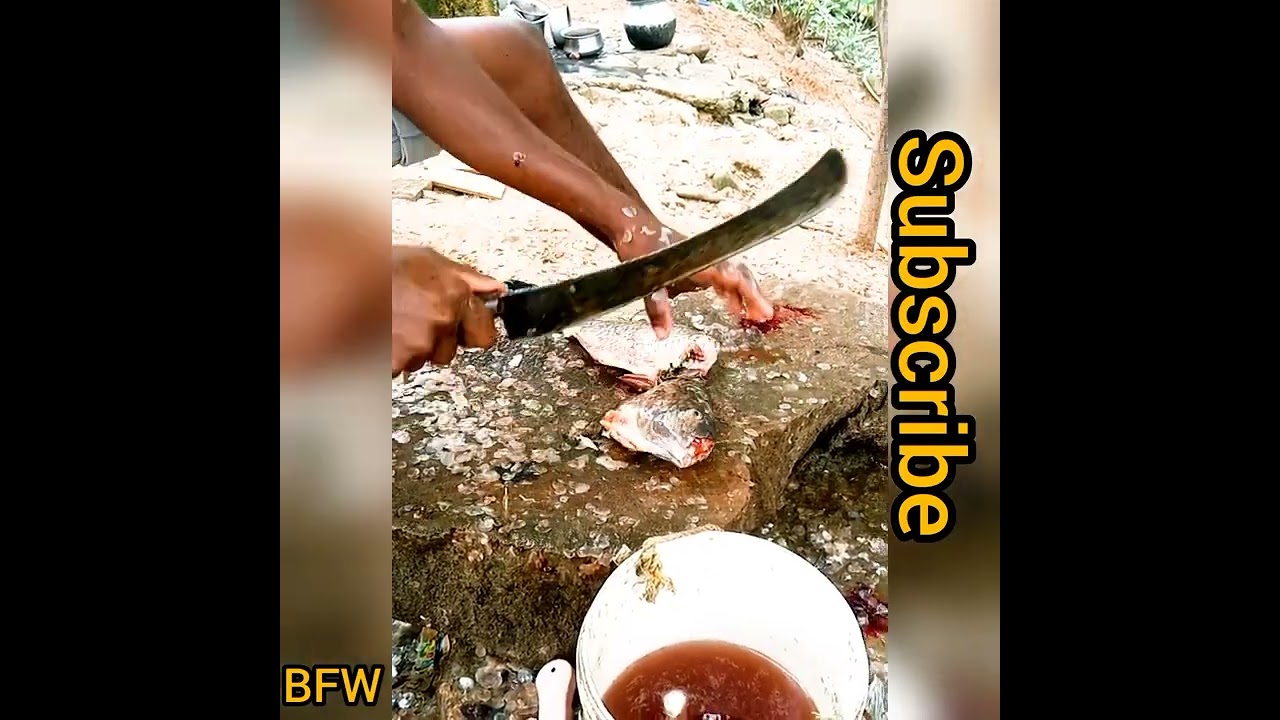 #fishcutting