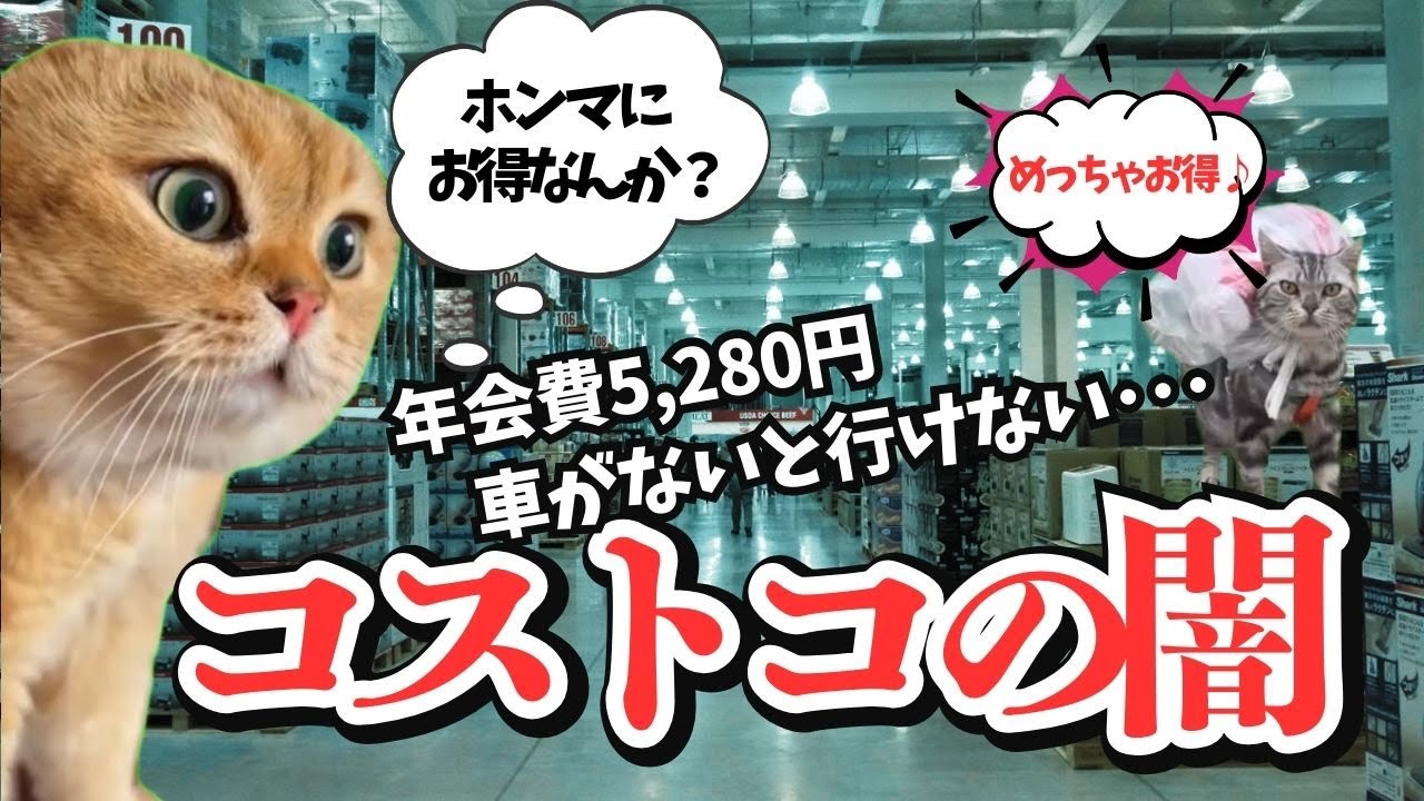 【猫ミーム】コストコってそんなにお得？節約のつもりが、まさかの地獄絵図だった【企業しくじり】