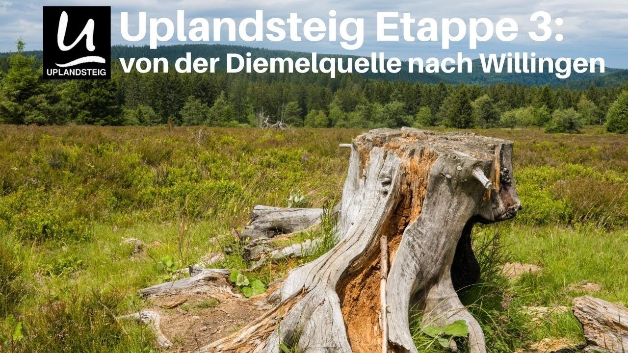Uplandsteig Etappe 3: von der Diemelquelle nach Willingen