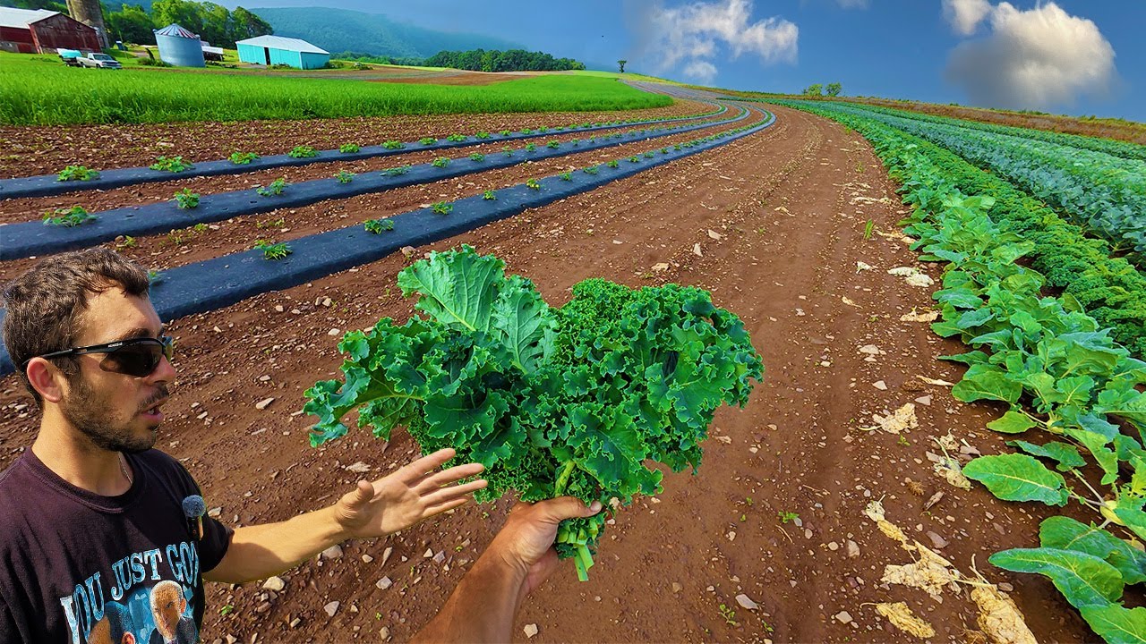 Vegetable Farm Vs. Pennsylvania Weather!