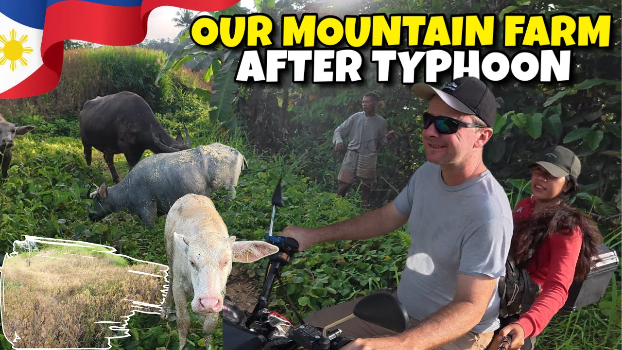 🇵🇭Afermath Philippines Typhoon Checking Crops and Livestock on our Mountain Farm!