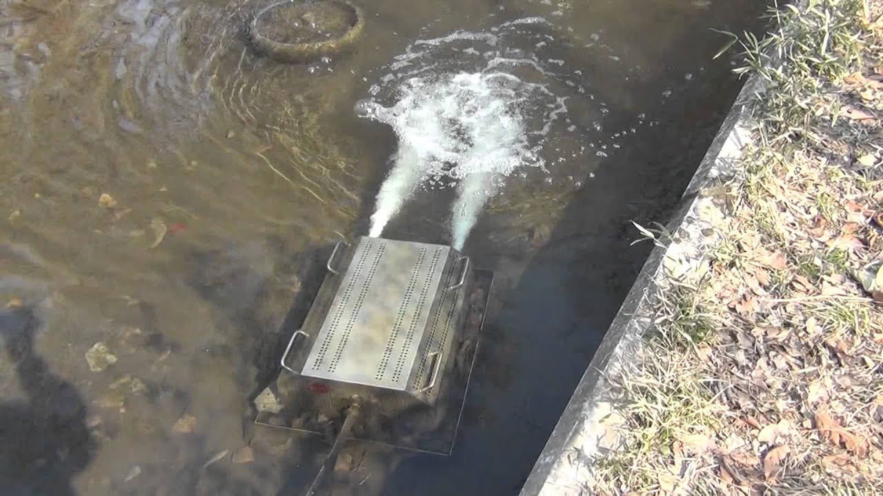 横浜「こどもの国・白鳥湖、蓮池」グラナ保守と水質