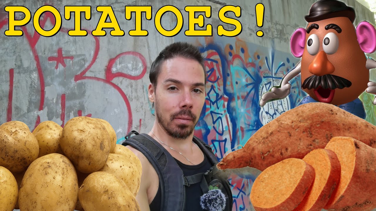 How Potatoes Saved My Life