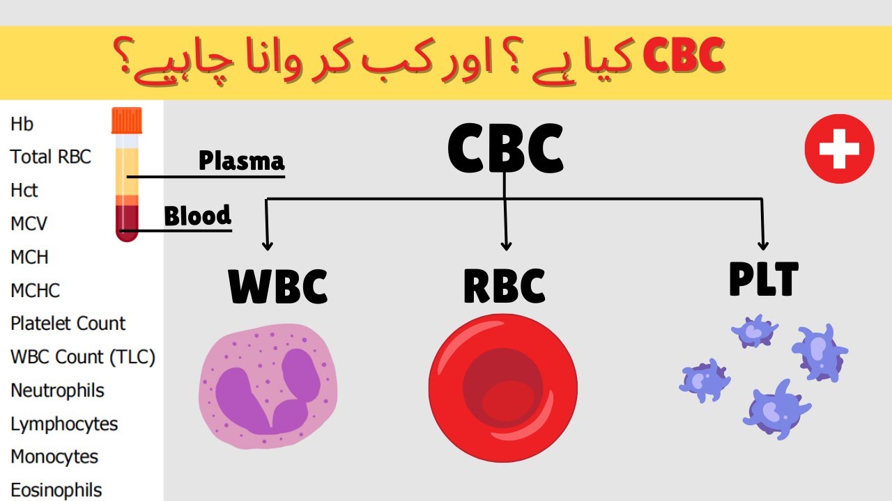 CBC report I CBC Test I CBC report kaise Padhe I Complete Blood Count