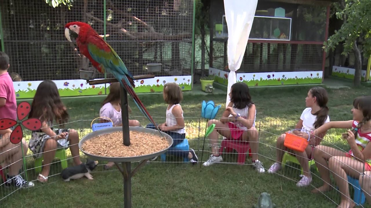 Un cumpleaños inolvidable en el Mascotario