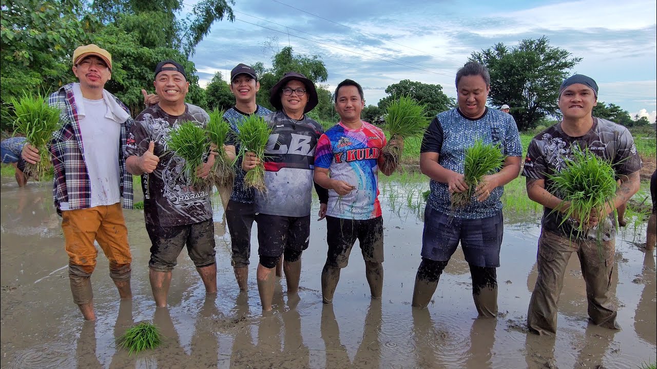 From office work to Bukid life. / Pagtatanim ng palay kasama ang Team @Harabas at ni Tatang.