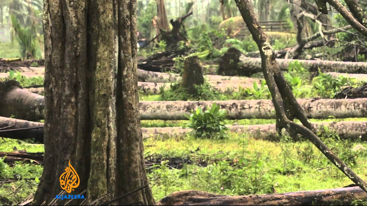 Typhoon-hit Philippine farmers seek help