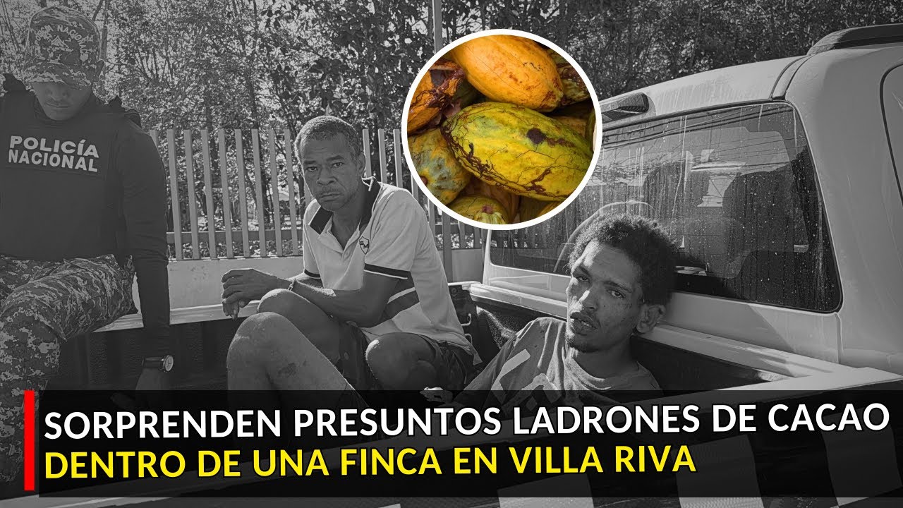 Detienen a dos hombres por presunto robo de cacao en Villa Riva