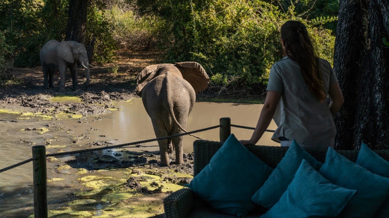 Kanga Camp - African Bush Camps