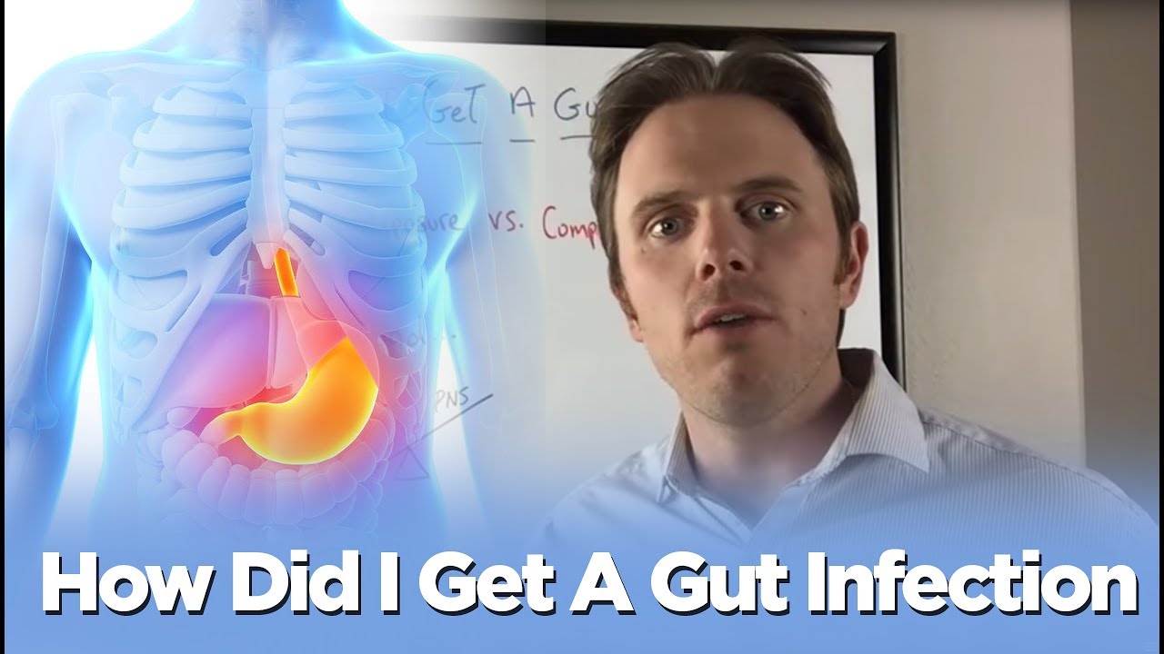 How Did I Get A Gut Infection - SIBO, Parasite, H.pylori and Fungal Overgrowth