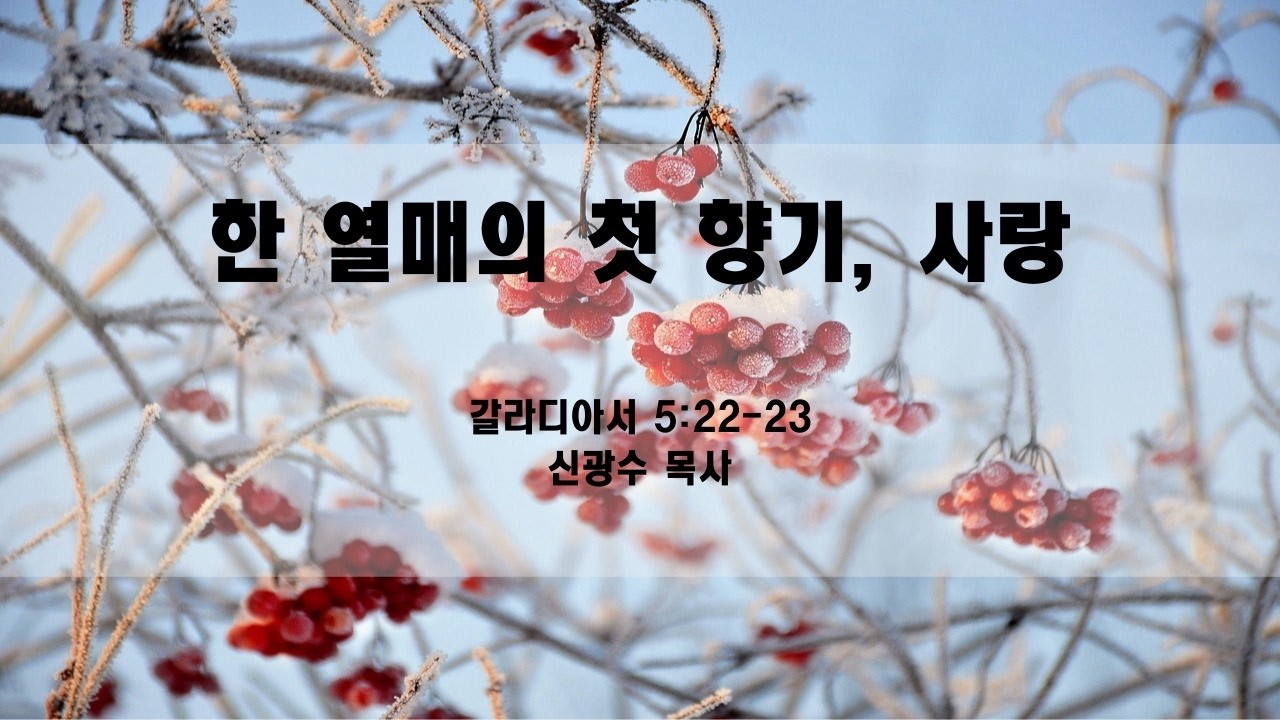 열린비전교회 수요예배(2026.3.11)