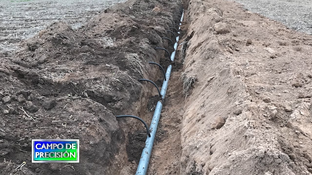 P762B3 – Usuario de riego por goteo subterráneo