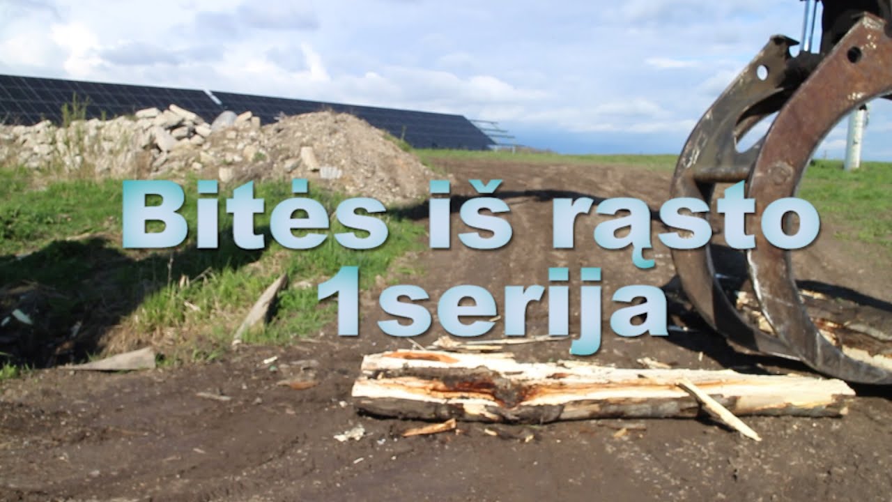 Bitės iš rąsto  1serija