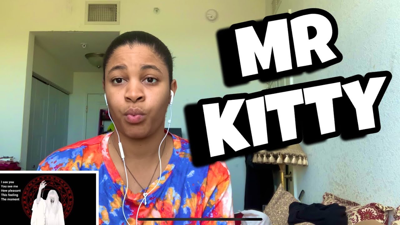 MR.Kitty “ After Dark “ Reaction