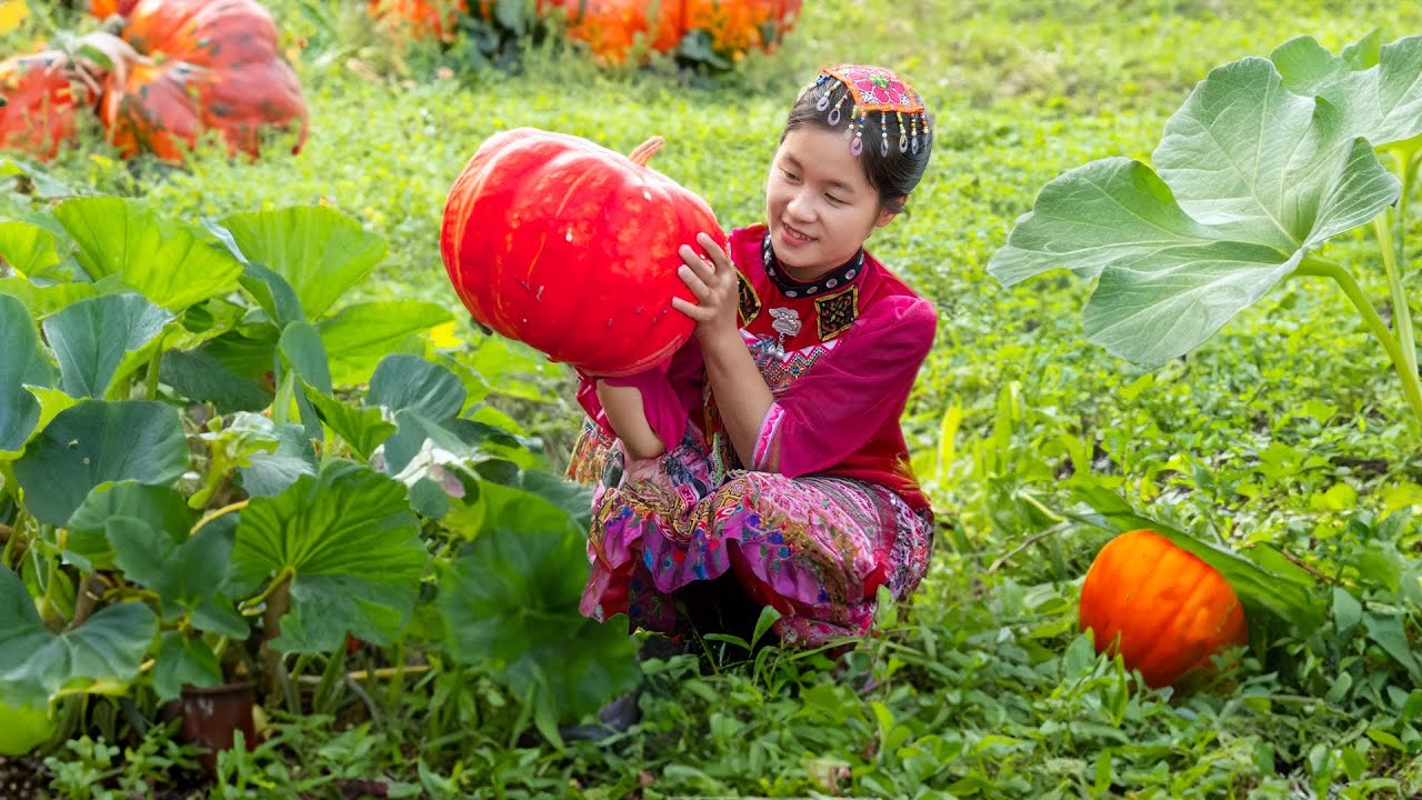 Harvesting MUTANT PUMPKINS | Ella Daily Life
