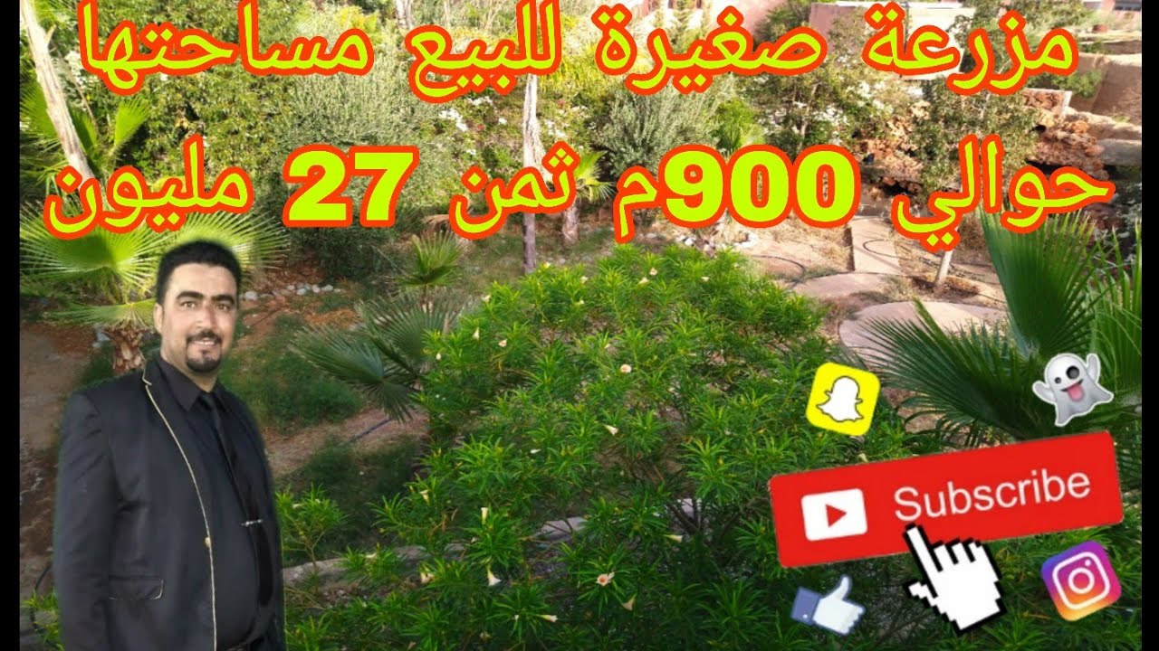 🛑هدا ليس متوفرا انه مباع 🔴همزة مزرعة صغيرة للبيع مساحة حوالي 900م فيه البير  فيها الكهرباء ماء