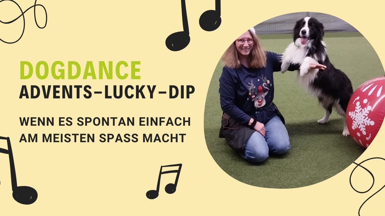 Dogdance Advents Lucky-Dip mit Newton im Hundesportcenter Vöhringen