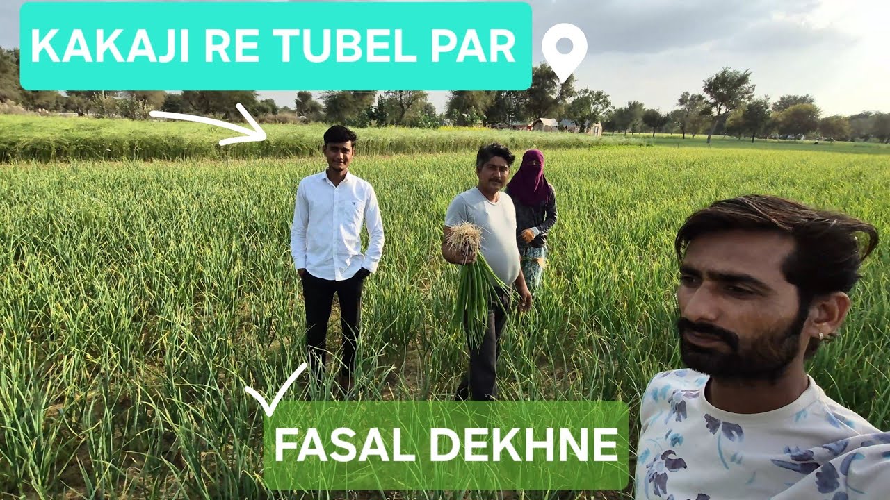 KAKAJI RE TUBEL PAR FASAL DEKHANE #Sethu_bhativlog #agricalture #villagelife khetibad vlog 