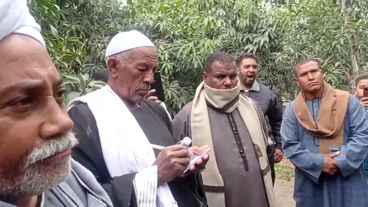 مواعيد وطريقة تقليم أشجار المانجو: