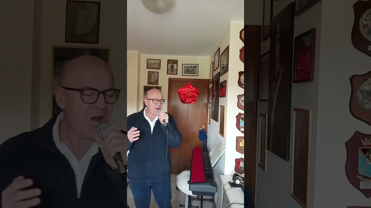 Ali per guardare occhi per volare (Pooh). Cover di Mauro Coppari 