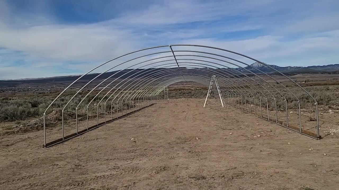 Прогресс компании Growers Solution в области тепличного хозяйства