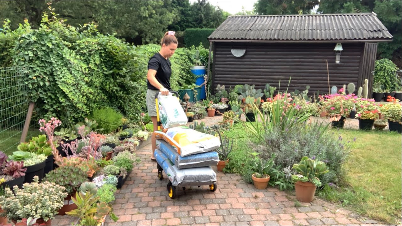 SORMAYIN BÜYÜK İŞE KALKIŞTIM 🥰 Sukulent bahçe peyzajım Bölüm-1 #peyzaj #bahçe #flowers #succulents