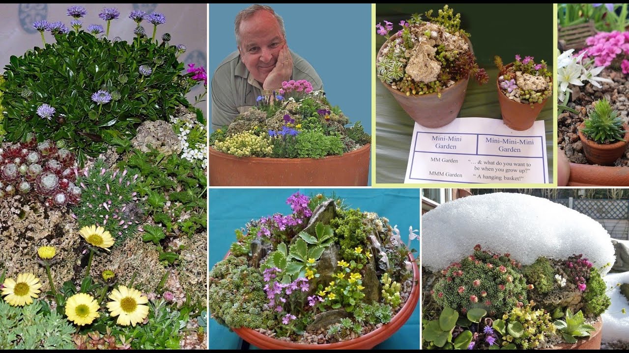 Learn how to make your own Miniature Garden - Gardening talk by John Dower