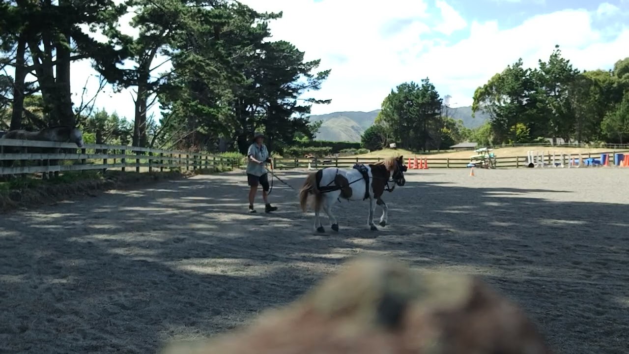 George ground driving 8 Jan 2026
