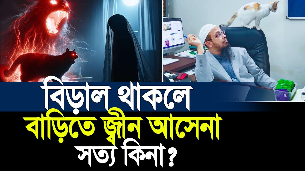 বিড়াল থাকলে বাড়িতে জ্বীন আসেনা সত্য কিনা। Mustafiz Rahmani