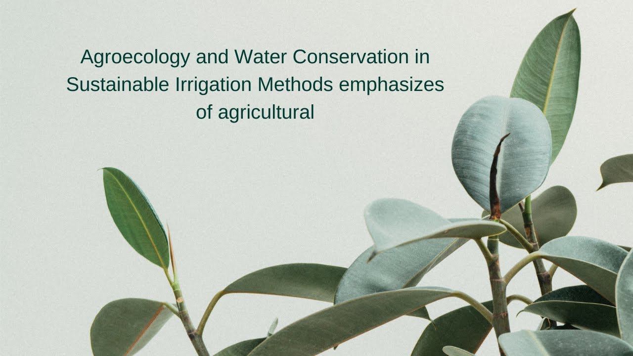 Agroecology and Water Conservation in Sustainable Irrigation Methods emphasizes of agricultural