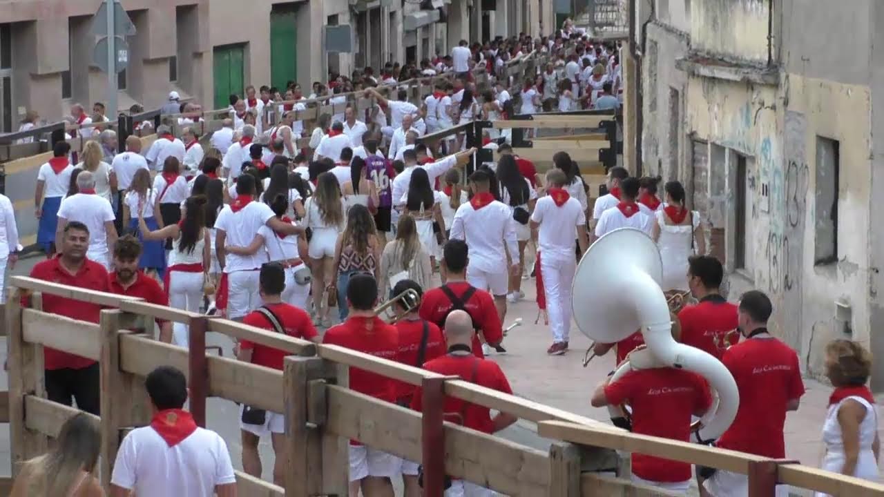 Andosilla, Fiestas 2022, Encierro tarde 08/09/22 Ganadería Ustarroz